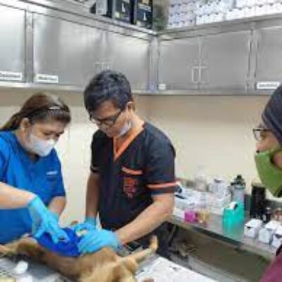 Veterinary Office – Lungsod ng Angeles