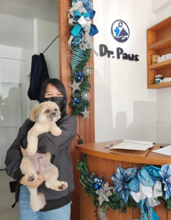 Dr. Paws Pet Grooming Services