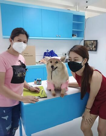 Monjayfer Veterinary Clinic, Grooming & Pet Supplies