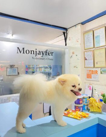 Monjayfer Veterinary Clinic, Grooming & Pet Supplies