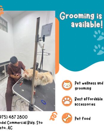 Paw Prints Veterinary Clinic – Angeles City