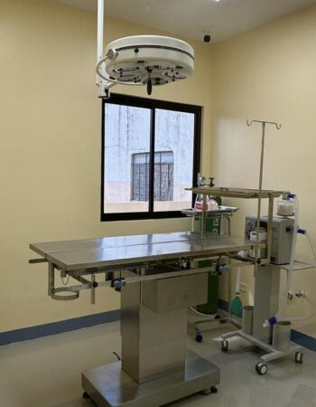 Serbisyo Beterinaryo Animal Hospital – Angeles City