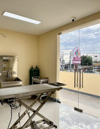 Serbisyo Beterinaryo Animal Hospital – Angeles City