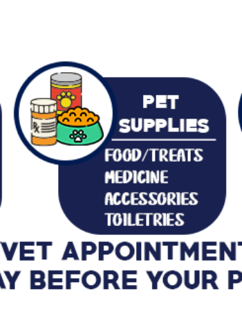 Dr. Paws Pet Grooming Services