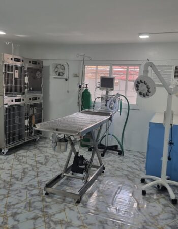 Monjayfer Veterinary Clinic, Grooming & Pet Supplies