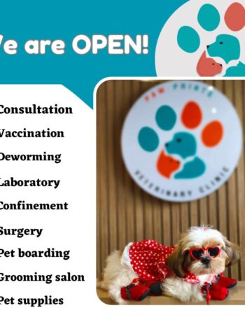 Paw Prints Veterinary Clinic – Angeles City