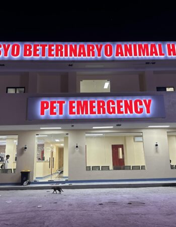 Serbisyo Beterinaryo Animal Hospital – Angeles City