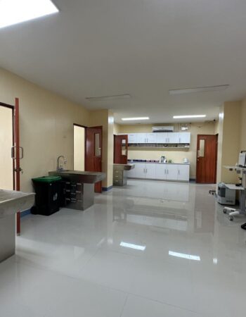 Serbisyo Beterinaryo Animal Hospital – Angeles City