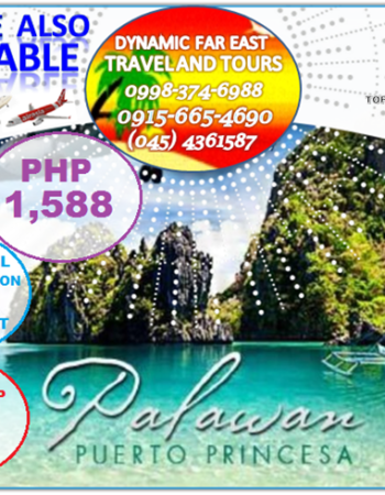 Dynamic Far East Travel And Tours Agency